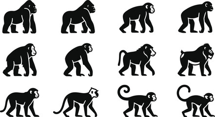 Set of black and white icons featuring various monkey and primate species. © Rahmat