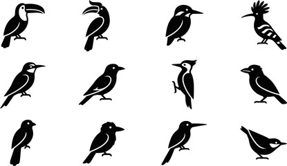 Collection of black bird silhouettes on white background. © Rahmat
