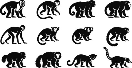 Collection of various monkey and primate species silhouettes. © Arzo