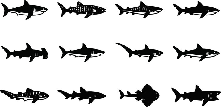 Set of Various Shark Species Silhouettes Collection.