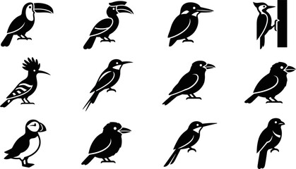 Set of various black and white bird silhouettes. © Arzo