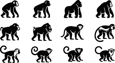 Set of various monkey and ape species black silhouettes. © Arzo