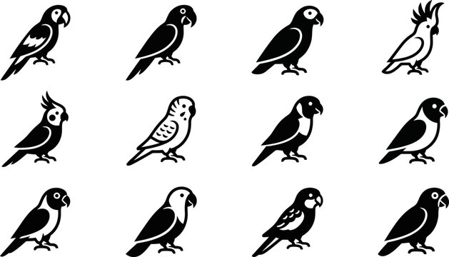 Collection of various parrot species icons in black and white.