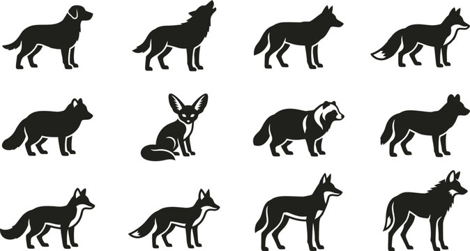 Set of silhouettes representing various canine and vulpine species.