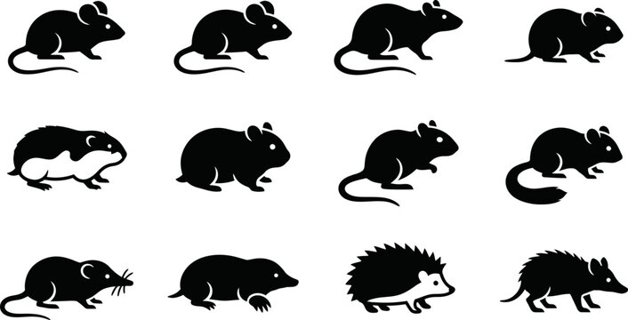 Set of black silhouettes representing small rodents and wild animals.
