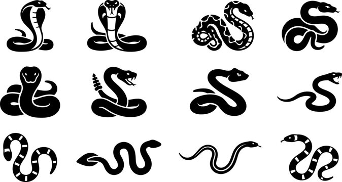 Set of black and white snake icons and silhouettes.