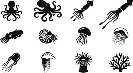 Set of monochrome black and white marine sea life silhouettes. © Mutmainah