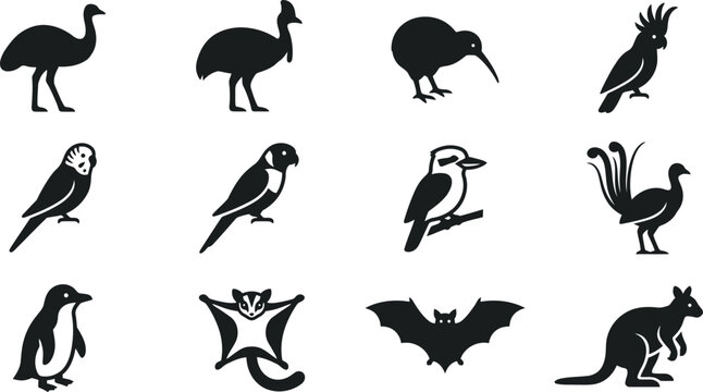 Set of silhouettes of Australian wildlife animals and birds.