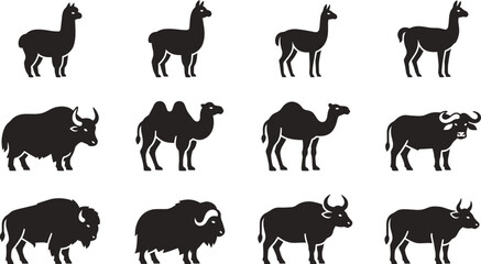 Set of silhouettes of llamas camels and buffalo animals. © Mutmainah