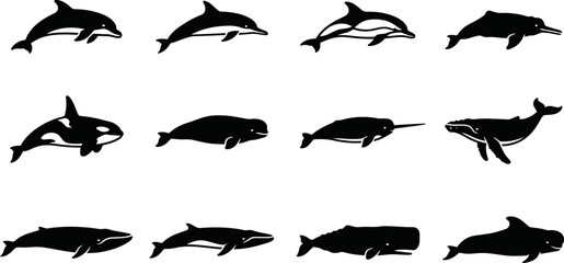 Set of black silhouettes of whales and dolphins isolated on white background. © Mutmainah