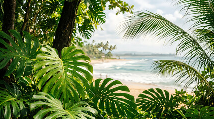 Fototapeta premium Monstera leaves framing a scenic tropical beach view