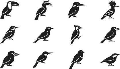 Collection of various bird silhouettes in black and white style. © Dhea