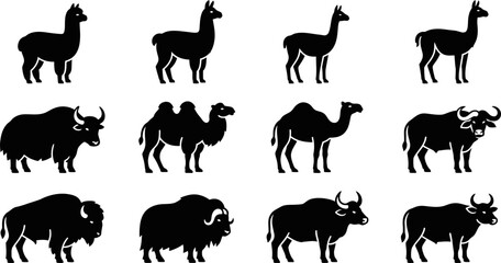 Set of black silhouettes of llamas camels yaks and buffalos. © Dhea