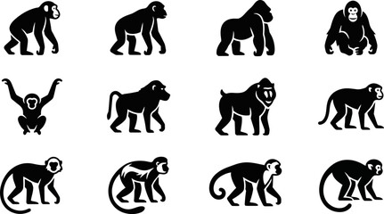 Collection of black monkey and ape silhouette icons. © Dhea