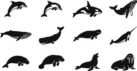 Set of marine mammals and sea creatures silhouettes collection. © Dhea
