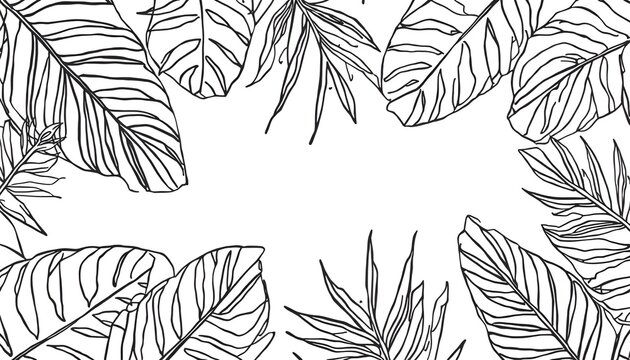 Premium Hand Drawn Tropical Plant Leaves Line Art Background Botanical Banner for Prints Textiles Wallpaper and Interior Decor