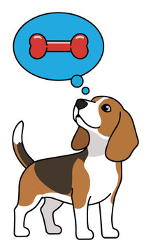 Cute beagle dog sitting with a blue thought bubble containing a squeaky toy icon isolated on a white background pet care concept