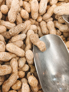 Peanuts In Shell With Metal Scooter 