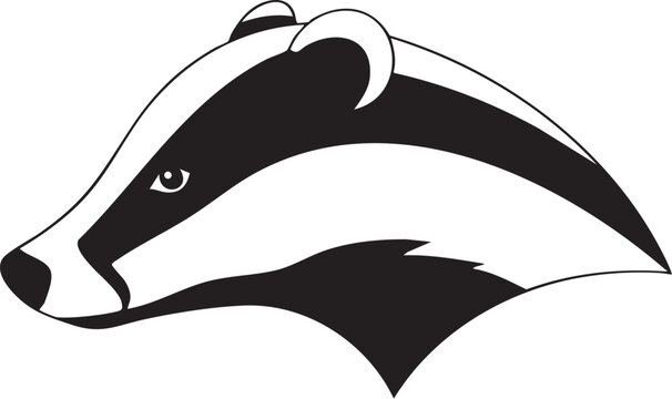Black and white badger head vector illustration
