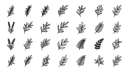 Collection of botanical leaf sprigs with berries and lavender in vector silhouette style isolated on white background © Nurzahan