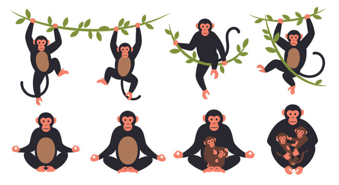 Various monkeys swinging on vines and sitting in meditative yoga poses with their babies in a lush tropical jungle setting.