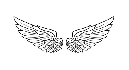 Fototapeta premium Symmetrical pair of spread bird or angel wings drawn with black outlines and detailed feather patterns for a graphic design.
