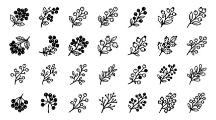 Set of hand-drawn berry branches in silhouette style for organic design elements © Nurzahan