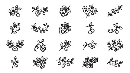 Set of hand drawn berry branches and leaves in a clean vector silhouette style © Nurzahan