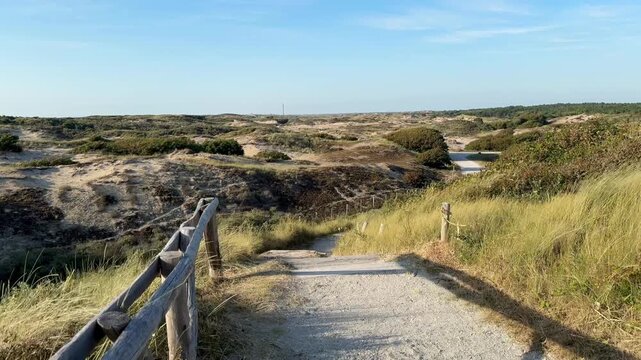 Panorama landscape 4K video of the beautiful green dunes on the top of the out look outdoor at sunset during summer with blue sky in the nature of Noordwijk aan Zee in The Netherlands.