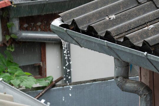 Clogged rain gutter, dirty roof gutter, with wet fallen leaves.