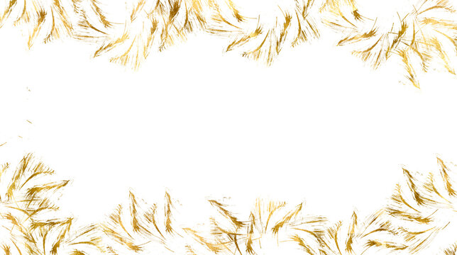 Gold frame classic illustrations and ornaments for vignettes, wedding invitation, certificate, poster and border on transparent background. Brushstroke with gold. Watercolor brush stroke png