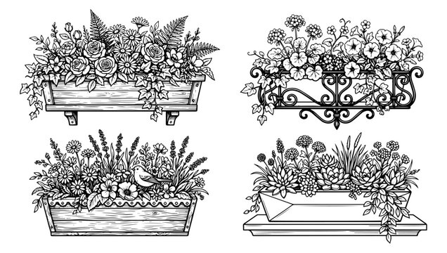 Hand Drawn Illustration Set of Decorative Window Flower Boxes with Blooming Plants in Sketch Style
