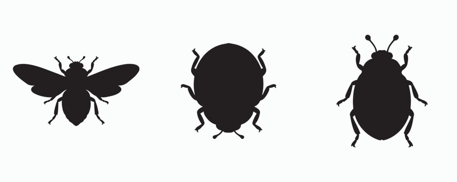 Collection of insect silhouettes isolated on gray background. Black vector illustrations featuring flying and crawling insects in different views, ideal for entomology, pest control, biology .