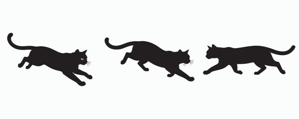 Collection of big cat silhouettes isolated on gray background. Black vector illustrations of wild feline predators in running, stalking, and walking poses, ideal for wildlife, zoology, nature, sports  © MD Rokib Adobe