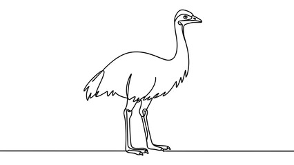 Naklejka premium Emu line drawing illustration white background.