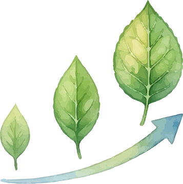 Three green watercolor leaves in size progression with upward arrow. Suitable for growth concepts in design projects, presentations, and articles.