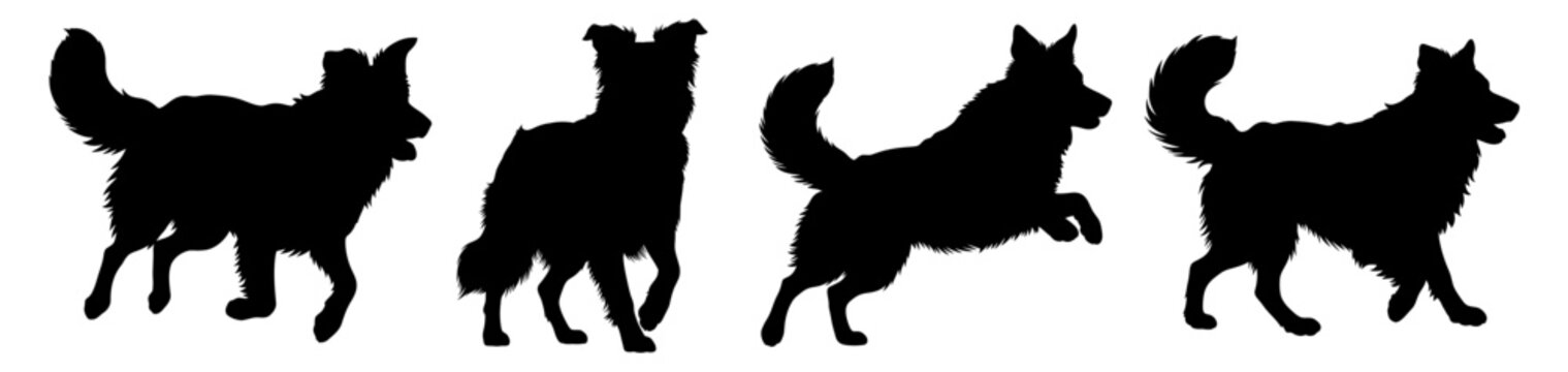 Border Collie Set Silhouette Vector Illustration , Animal Silhouette Vector , Transparent Background