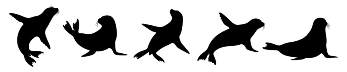 Seal Set Silhouette Vector Illustration , Animal Silhouette Vector , Transparent Background © Hikmat Studios