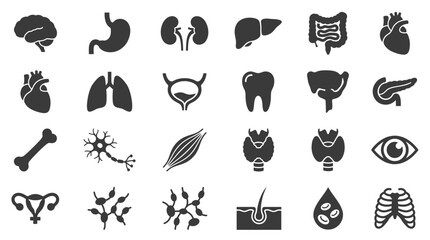 Fototapeta premium Human Organs and Anatomy Icon Set Flat Vector Illustration