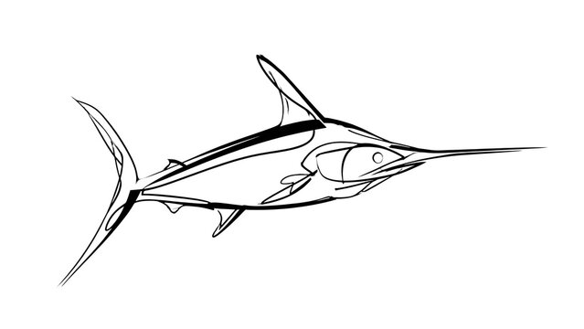 Sleek swordfish illustration on white background.