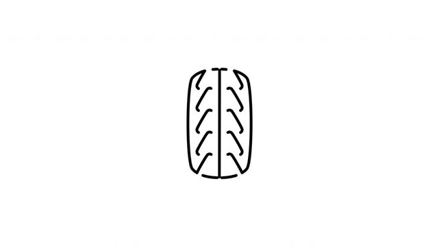 Minimalist outline animation of an automotive car wheel tire rubber tread drawing on and fading out. Features a clean pop up style in 3 color setups.