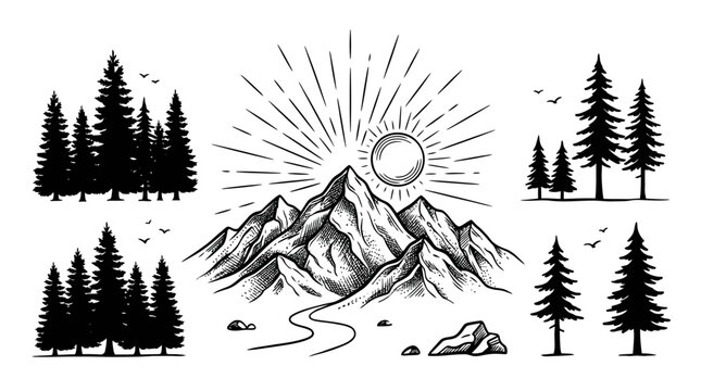 Mountain and Pine Tree Vector Set in Hand Drawn Sketch Style