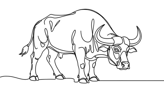Line art illustration of a buffalo on white background.