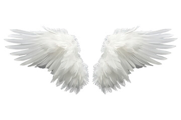 Obraz premium White angel wings creating a spiritual and ethereal symbol of freedom, flying, and imagination on transparent background
