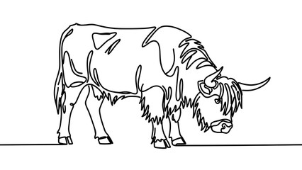 Fototapeta premium Line drawing of a yak on white background.