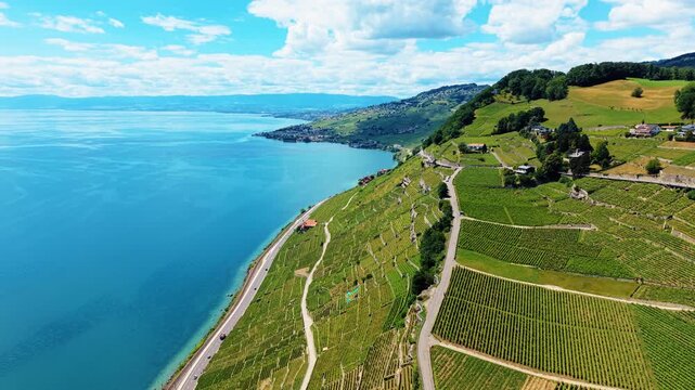 Aerial: pull out drone shot of Lavaux terraced vineyards and Lake Leman during the day in canton of Vaud, Switzerland