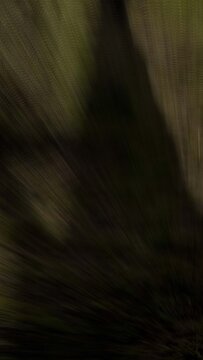 Vertical Direction Zoom Transition