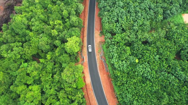 Car Driving, Forest Road, Village road, monsoon weather