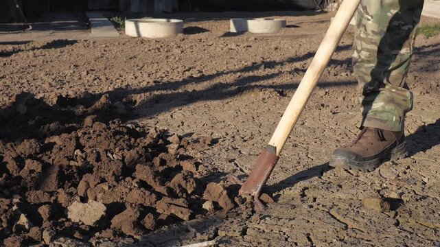 A man digs soil with a bayonet shovel for planting in a vegetable garden on a cool spring evening