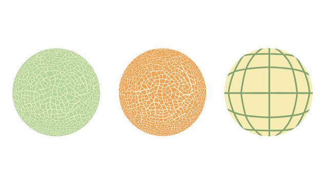 Three round melon fruits with distinct textures including two textured skins and one geometric grid pattern on white background.
